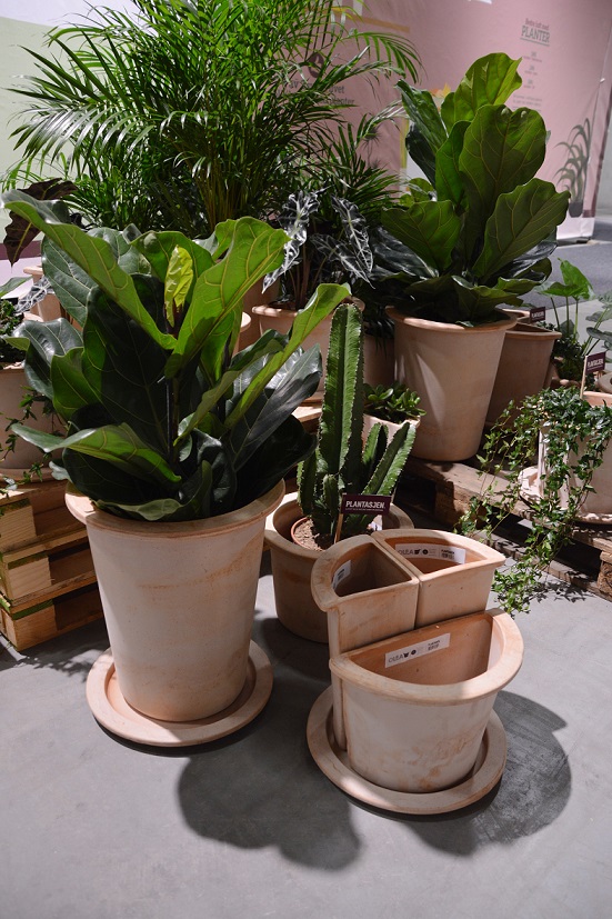 plantasjen2